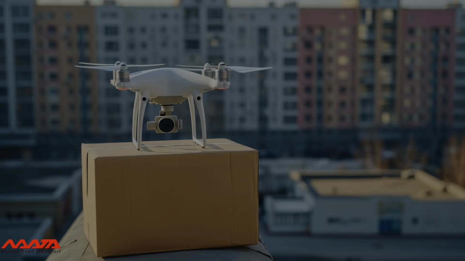 Delivery Drones
