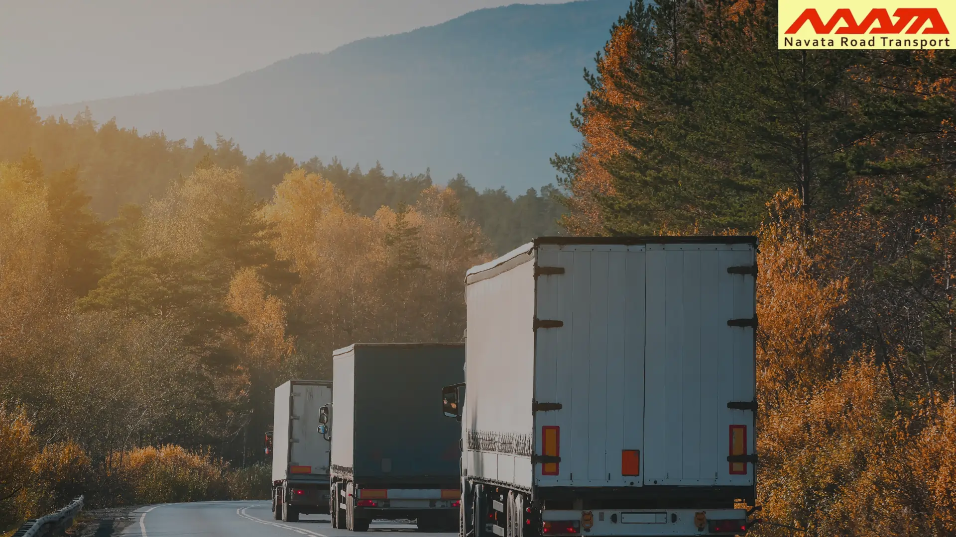 Global Road Freight Services Market