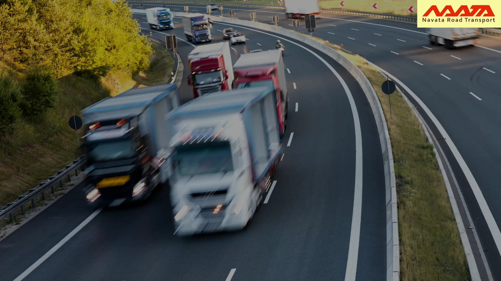 Read more about the article Why Cheaper Transporters Cost More in the Long Run?